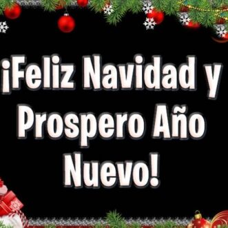 ¡ Feliz Navidad y prospero año nuevo !